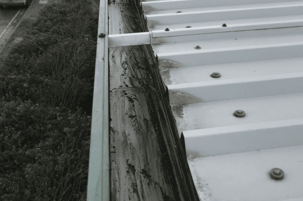 Commercial gutter cleaning specialists in Woodstock
